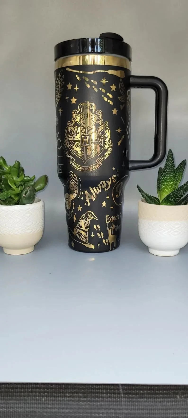 40oz Harry Potter Magical School Tumbler TW63