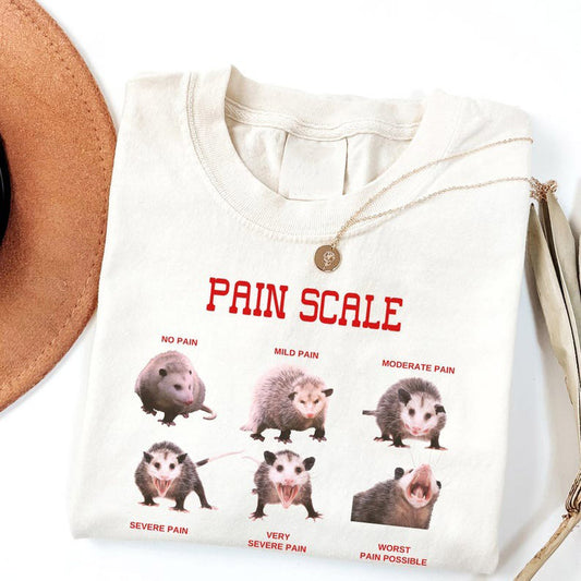Nurse Pain Scale Pain Assessment