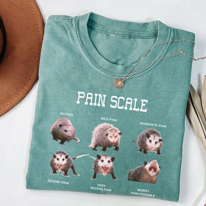Nurse Pain Scale Pain Assessment